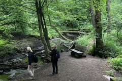 Wanderung_20260517_00031