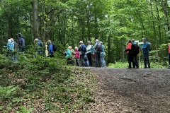 Wanderung_20260517_00033