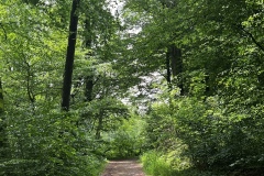 Wanderung_20260517_00035