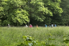 Wanderung_20260517_00036