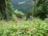 Wanderurlaub_2020_1_28
