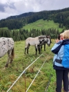 Wanderurlaub_2020_2_33
