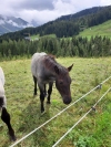 Wanderurlaub_2020_2_35