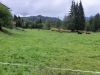 Wanderurlaub_2020_2_37
