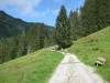 Wanderurlaub_2020_3_05