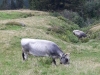Wanderurlaub_2020_3_54