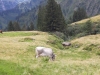 Wanderurlaub_2020_3_55