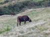 Wanderurlaub_2020_3_56