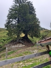 Wanderurlaub_2020_3_59