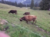 Wanderurlaub_2020_3_62