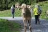 Wanderurlaub_2020_4_10