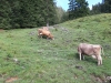 Wanderurlaub_2020_4_29