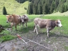 Wanderurlaub_2020_4_49
