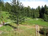 Wanderurlaub_2020_5_03