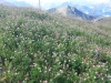 Wanderurlaub_2020_6_66
