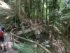 Wanderurlaub_Alpenueberquerung_2021_1_60
