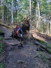 Wanderurlaub_Alpenueberquerung_2021_2_009