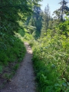 Wanderurlaub_Alpenueberquerung_2021_2_014