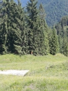 Wanderurlaub_Alpenueberquerung_2021_2_020