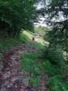 Wanderurlaub_Alpenueberquerung_2021_2_021