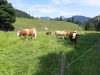 Wanderurlaub_Alpenueberquerung_2021_2_025