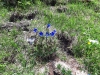 Wanderurlaub_Alpenueberquerung_2021_2_034