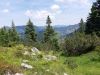 Wanderurlaub_Alpenueberquerung_2021_2_038