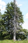 Wanderurlaub_Alpenueberquerung_2021_2_077