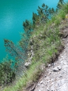 Wanderurlaub_Alpenueberquerung_2021_3_025