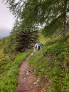 Wanderurlaub_Alpenueberquerung_2021_4_013