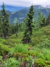 Wanderurlaub_Alpenueberquerung_2021_4_020