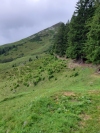 Wanderurlaub_Alpenueberquerung_2021_4_044