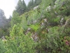 Wanderurlaub_Alpenueberquerung_2021_5_033