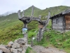 Wanderurlaub_Alpenueberquerung_2021_5_044