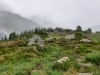 Wanderurlaub_Alpenueberquerung_2021_5_050