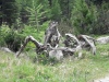 Wanderurlaub_Alpenueberquerung_2021_6_031