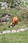 Wanderurlaub_Alpenueberquerung_2021_6_044