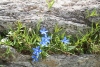 Wanderurlaub_Alpenueberquerung_2021_6_052
