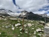 Wanderurlaub_Alpenueberquerung_2021_6_080