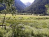 Wanderurlaub_Alpenueberquerung_2021_7_009