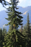 20210909115000_IMG_5169