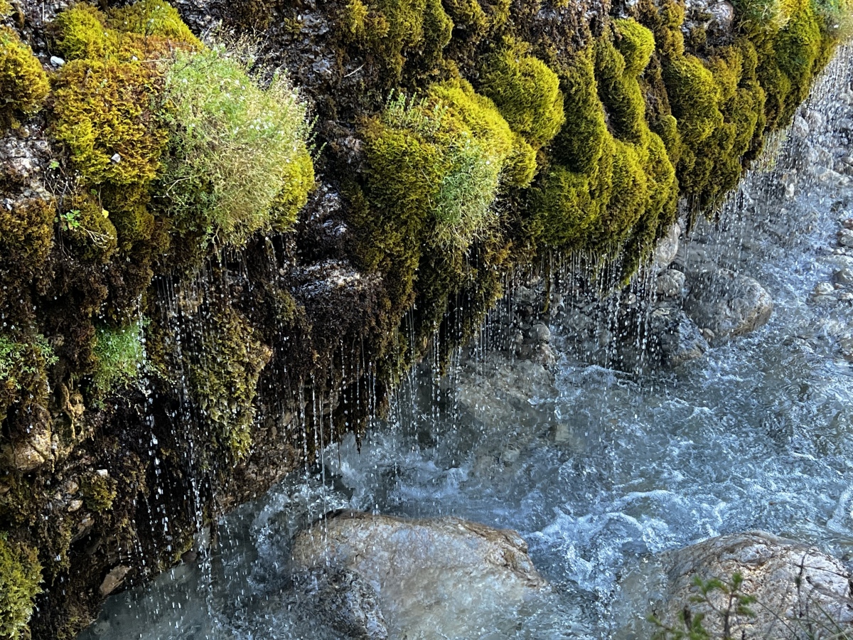 Wanderurlaub_MariaAlm_2025_00018