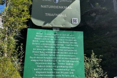 Wanderurlaub_MariaAlm_2025_00016