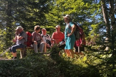 Wanderurlaub_MariaAlm_2025_00023