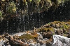 Wanderurlaub_MariaAlm_2025_00029