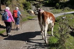 Wanderurlaub_MariaAlm_2025_00047