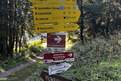 Wanderurlaub_MariaAlm_2025_00056