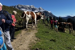 Wanderurlaub_MariaAlm_2025_00068