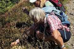 Wanderurlaub_MariaAlm_2025_00075