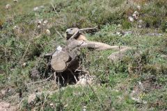 Wanderurlaub_MariaAlm_2025_00097